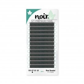 Noir Ivy YY Lashes Premade Lash Fans